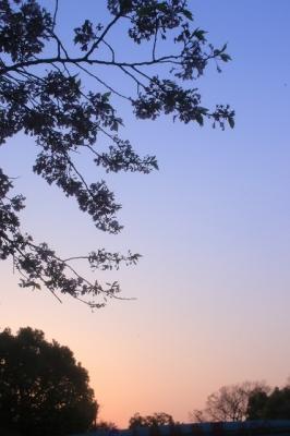s-IMG_9962.jpg