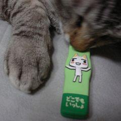 USBって美味しいの?