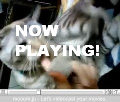 動画ツール