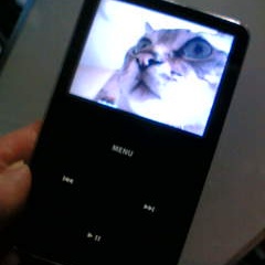 黒いiPodって美味しいの?