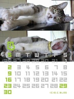 4月って美味しいの?