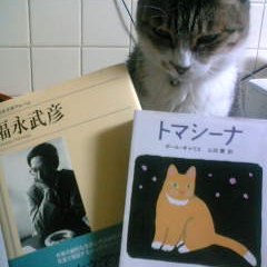 トマシーナって美味しいの?