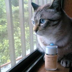 ファンデーションって美味しいの?