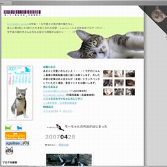 マイちゃんタイトル画像
