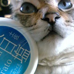 塩って美味しいの?