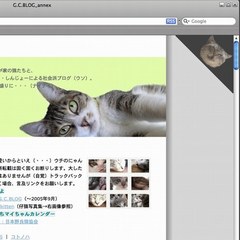 Safariって美味しいの?