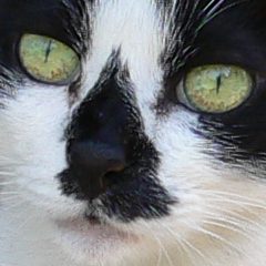 目が、目がッッッ