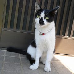 ぽへ。。。。