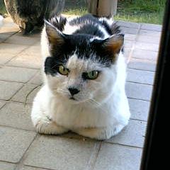 す、すみませんっ