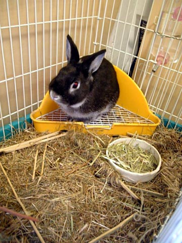 「また新しいの買ってな!」 「・・・・・・ムリ」