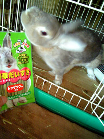 みんなオレの〜
