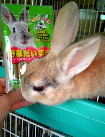 全部もらっとくで〜