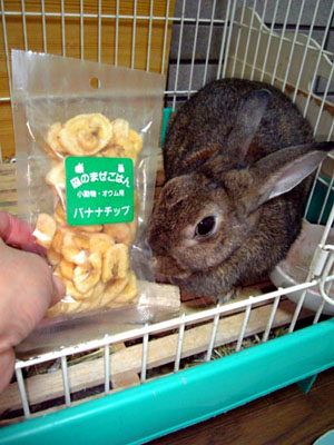 私だけのものよっ
