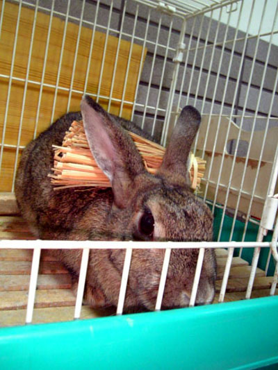 間違ってるんじゃないのっ?