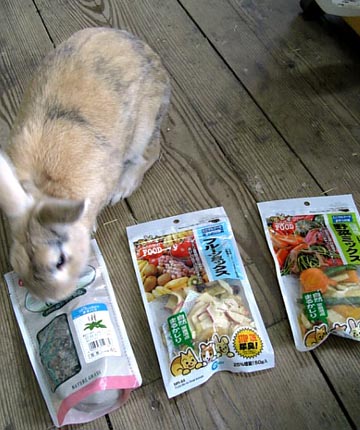 僕はオオバコがいいな