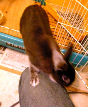 どこにやったん?