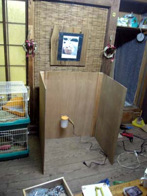 大きいんです・・・