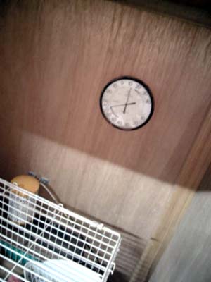 必需品ですね