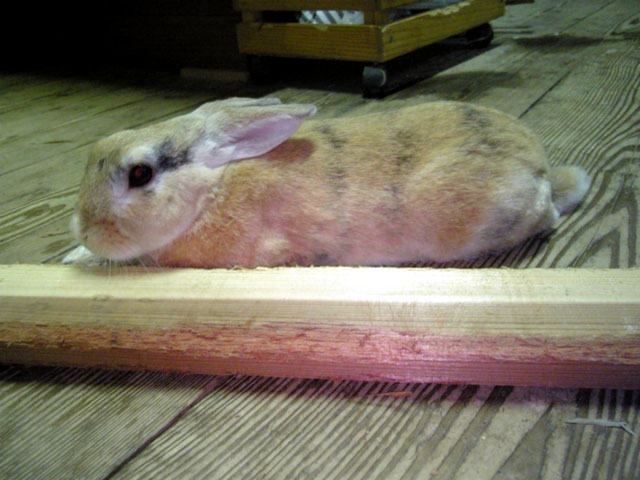 ふぅぅ