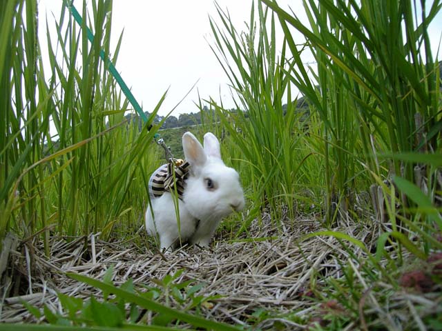 もうひとがんばりよっ