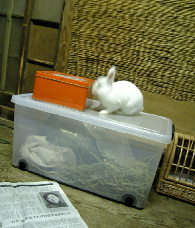 開きなさいよっ