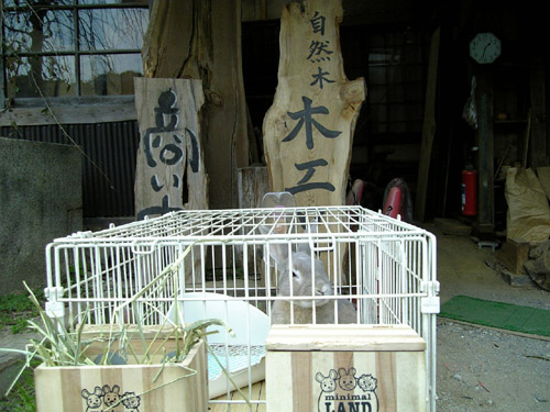 売り物じゃないぜ