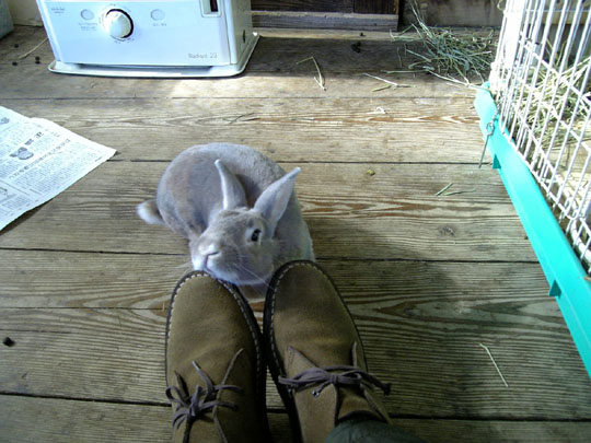 今日もつけとこ