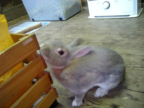 匂い付け〜♪