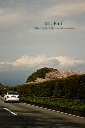 富士山!!