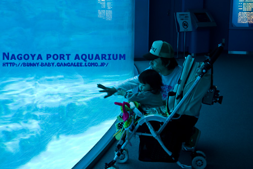名古屋港水族館