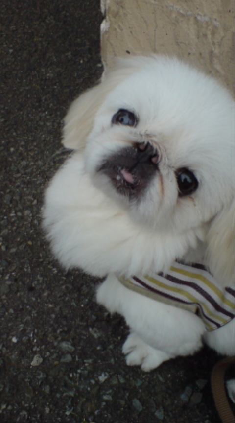 20120530183637.jpg