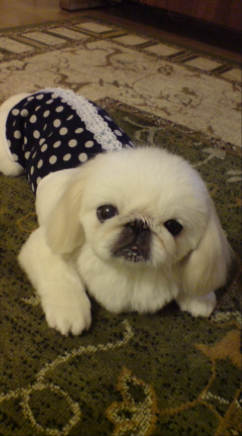 20120526020416.jpg