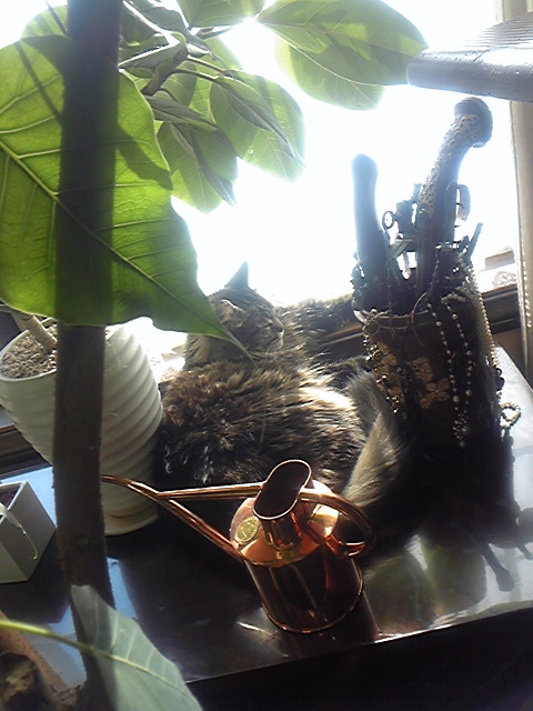 DVC00577.jpg