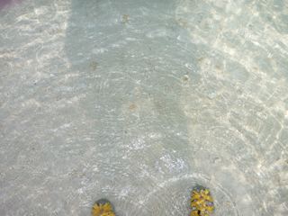 P1000046.jpg