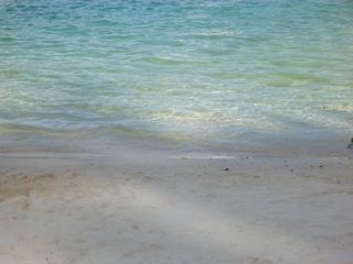 P1000049.jpg