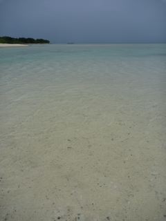 P1000238.jpg