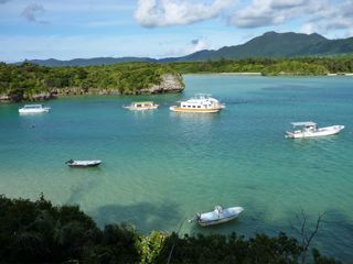 P1000036.jpg