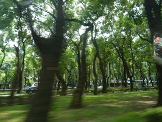 P1020435_3.jpg