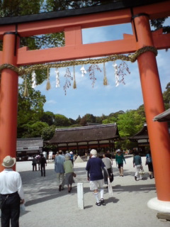 20100512142758.jpg