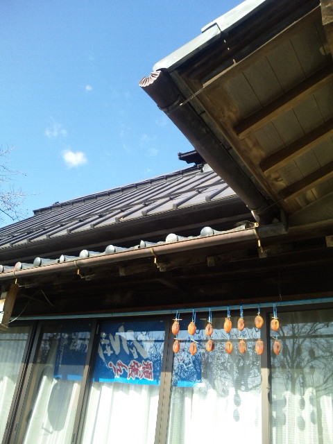 良いお天気