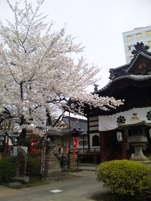西光寺