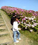 2006_5_3_花