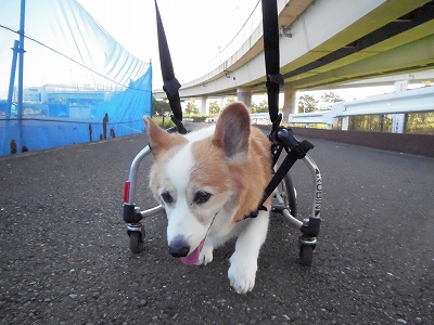 s-DSCN0604.jpg