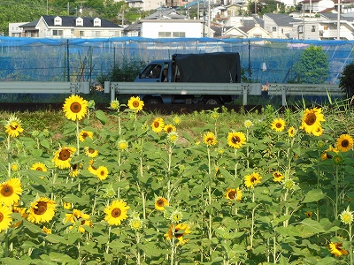 s-DSCN0641.jpg