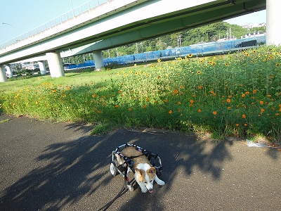 s-DSCN0642.jpg