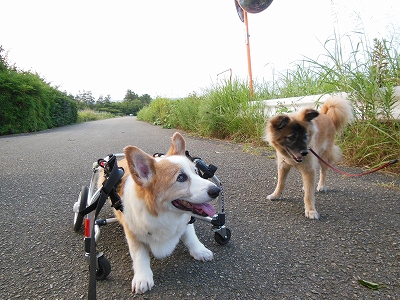 s-DSCN0685.jpg