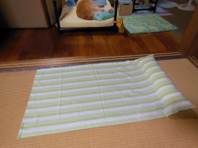 s-DSCN0692.jpg