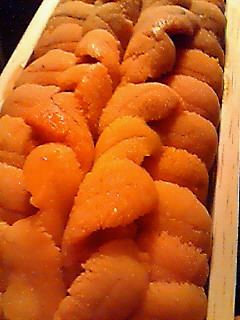 200903242148000.jpg