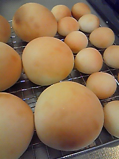 200904011355002.jpg