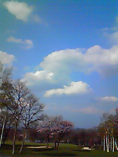 200905051504001.jpg